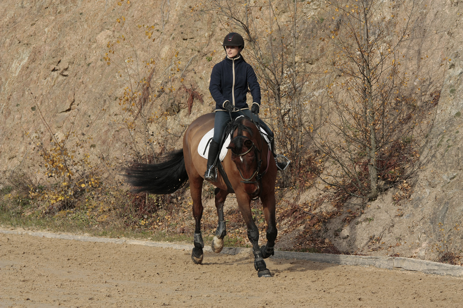 Photographie prise par Horse Development lors d'un stage d'entraînement pour cavaliers de saut d'obstacles, jument et sa cavalière au galop