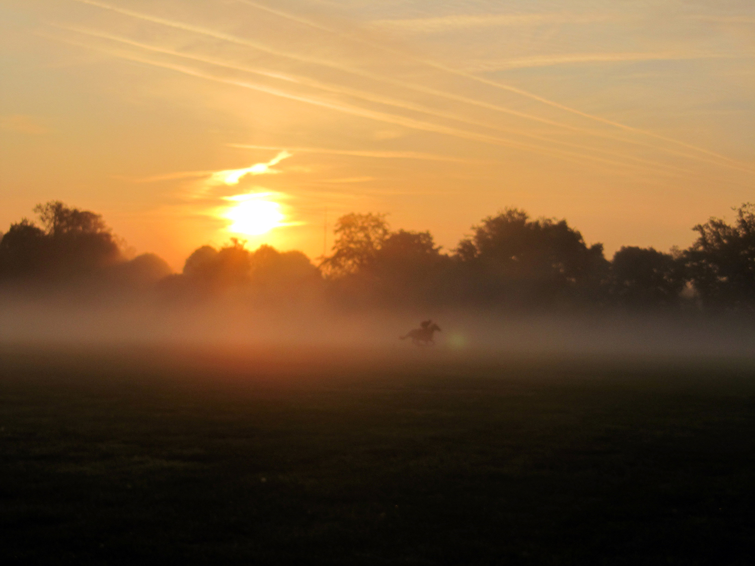 Photographie prise par Horse Development lors d'un entraînement de Galop, au petit matin à Chantilly, au centre d'entraînement de galopeurs