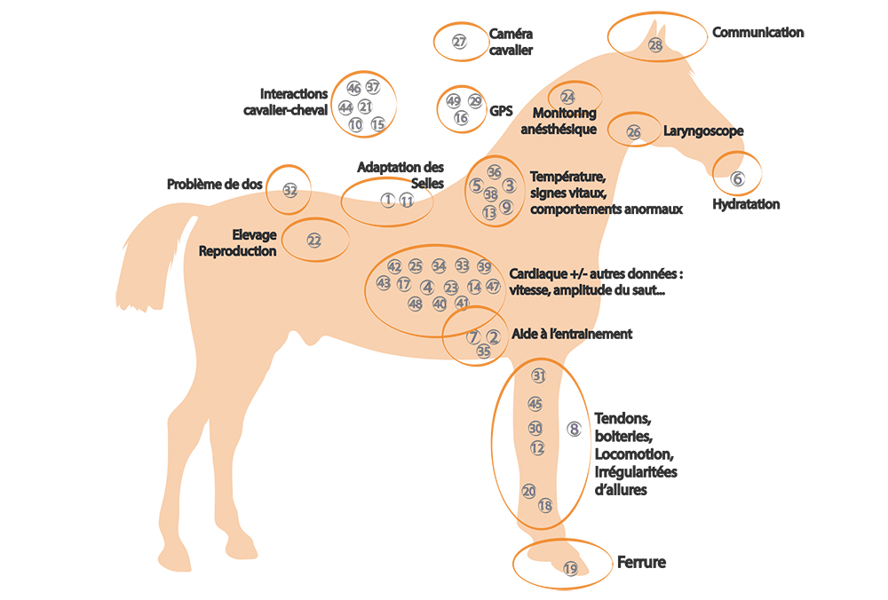 Etude réalisée pour un objet connecté lié au monitoring du cheval au repos, à l'entraînement, chevaux de courses - schéma de Horse Development