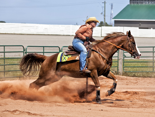 Photographie prise par Horse Development, cheval de western ou de reining au galop. Vous avez créé un objet innovant ou connecté pour l'équitation ou l'entraînement du cheval de sport ou de courses, nous pouvons vous aider