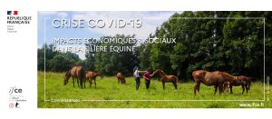 activités équines et crise covid 19 IFCE