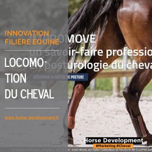 Impromove, des guêtres pour chevaux à la technologie unique