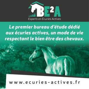 Le premier bureau d'étude dédié aux écuries actives.