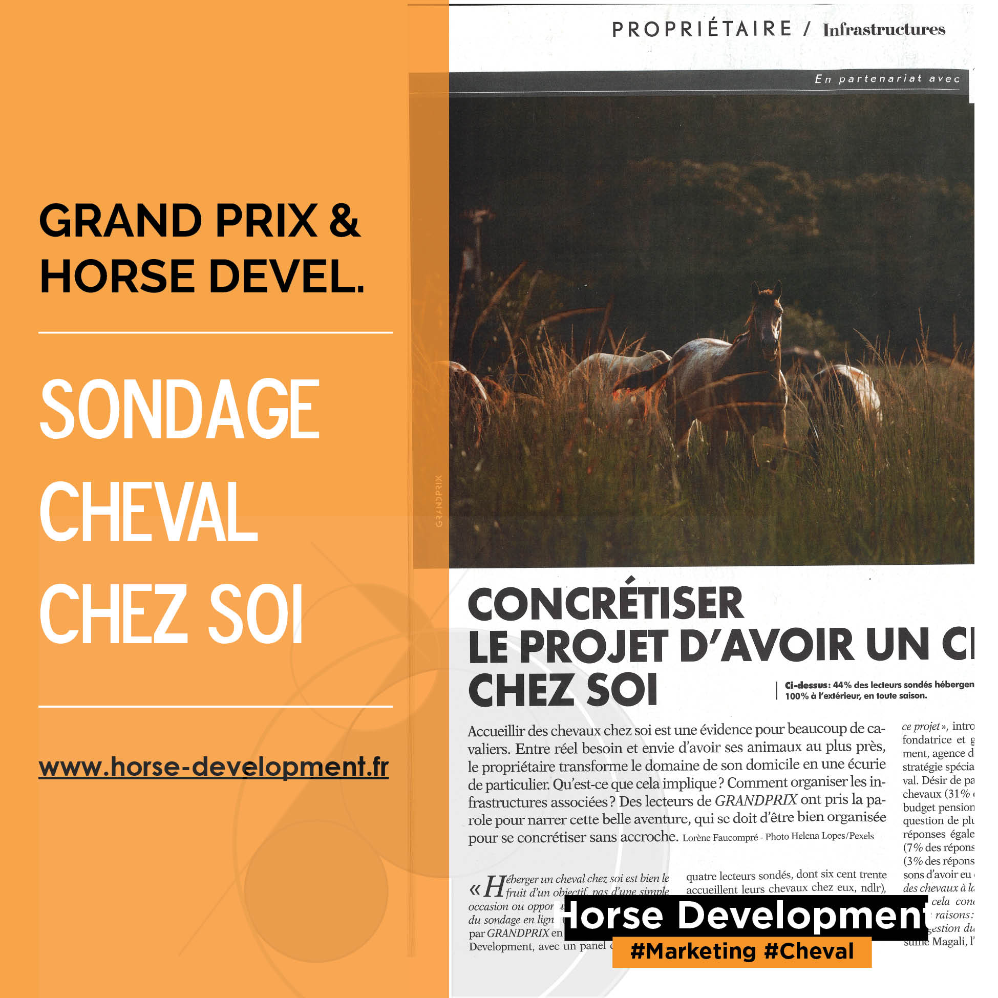 Chariot porte-selle roulant grand modèle, écurie, concours, déplacements,  élevage