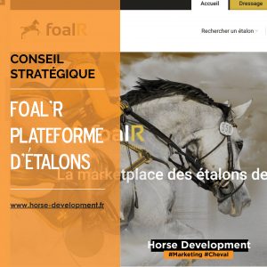 Foal'R marketplace d'étalons de Sport à l'échelle européenne