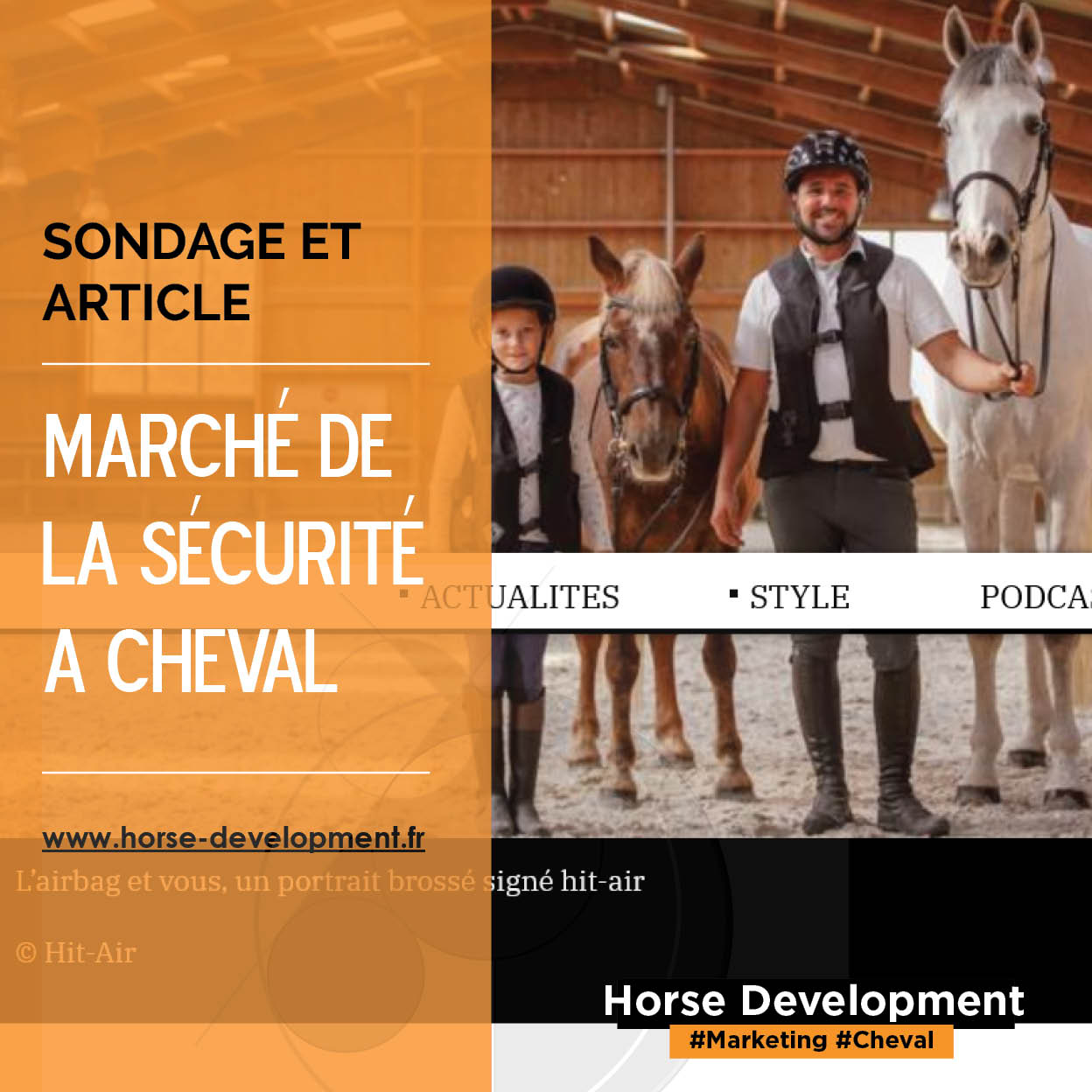 étude de marché  Horse Development